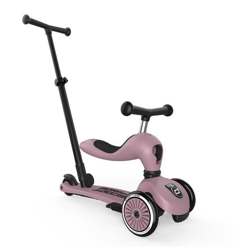 Trottinette Push and Go Wildberry