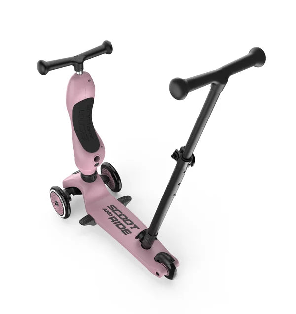 Trottinette Push and Go Wildberry