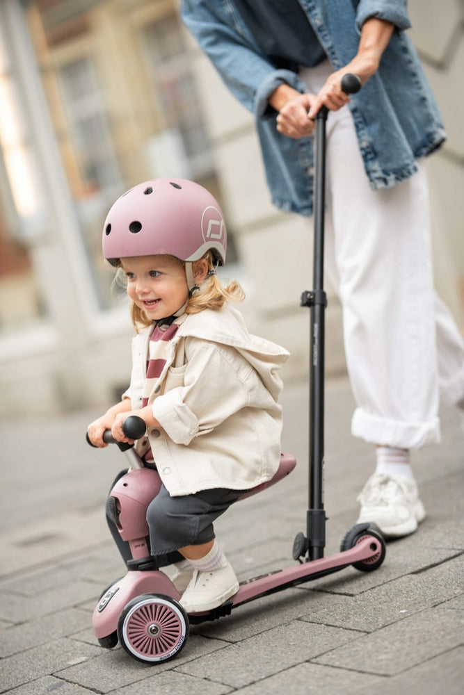 Trottinette Push and Go Wildberry